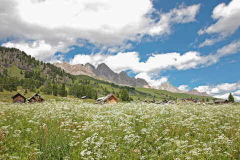 Passo San Pellegrino - ©Archivio APT Val di Fassa