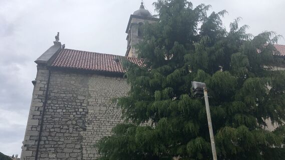 Fotografie z Lomalinda na trase