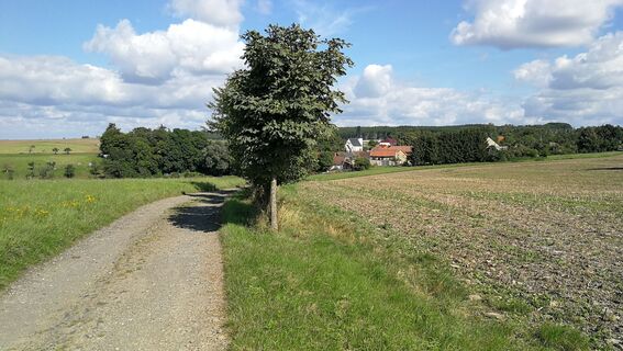 Von Steinbrücken über die Pappelschenke nach Kospoda