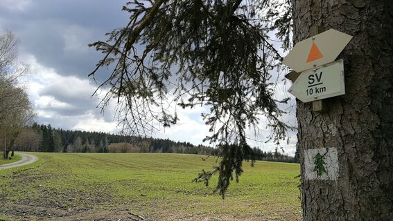 Vom Leitencafé bei Tanna zum Rosenbühl