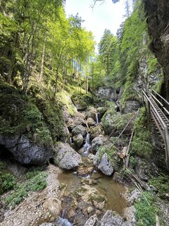 Foto von Reinhard Osimitz entlang der Tour