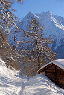Schneeschuhwandern in La Forclaz