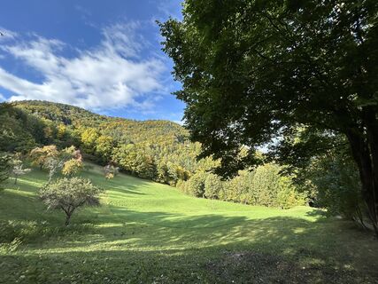 Fotografia z tjiong na trase