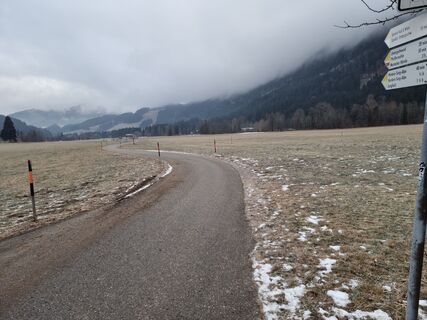 Zdjęcie z Felix wzdłuż trasy