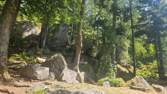 Foto von Klaus Reinhold entlang der Tour