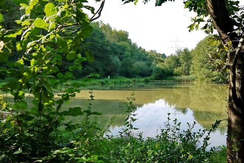 Wombacher Weiher bei St Ingbert
