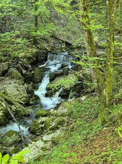 Foto från Silkrie ?✌️ under resans gång