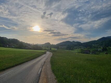 Foto von Grizli entlang der Tour