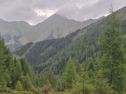 Foto von Fr Sal Poeschl entlang der Tour