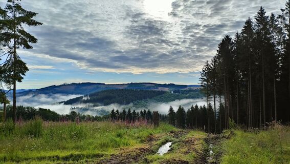 Ausblick von der Kophelle
