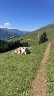 Zdjęcie z Anna Kerschbaumer wzdłuż trasy