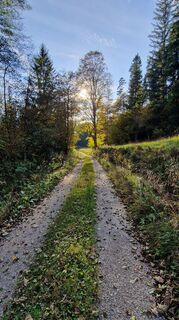 Foto von Ernst Brezina entlang der Tour