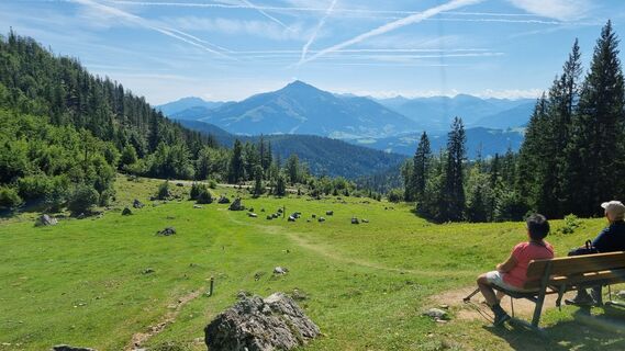 Photo de MaBaum le long du parcours