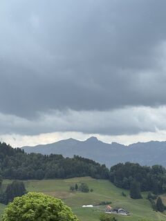 Fotografija s spletne strani Takashi Araki na poti