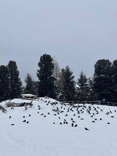 Fotografia z ErikR na trase