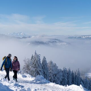 Winterwandern am Hündle