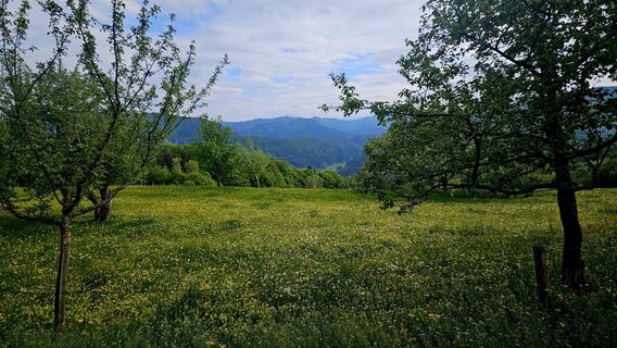 Foto de Stefan Holzinger a lo largo del recorrido