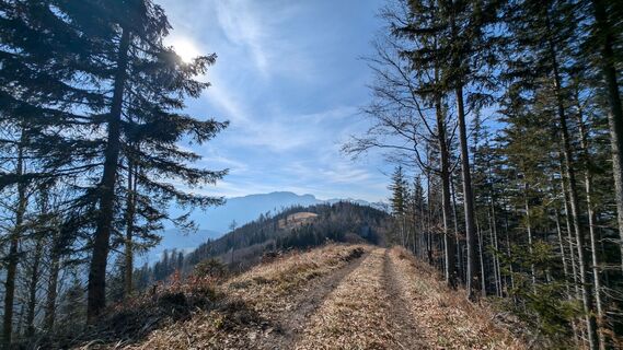 Fotografie z Klaus Lehner na trase