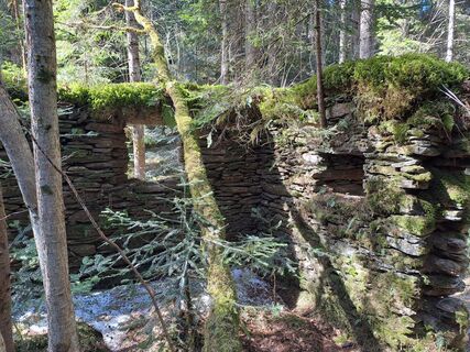 Photo de Nella le long du parcours