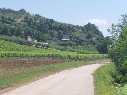 Foto von Arno G. entlang der Tour