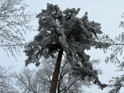 Fotografia z Norbert Herbig na trase