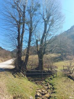 Foto von Klaus Gruber 3 entlang der Tour