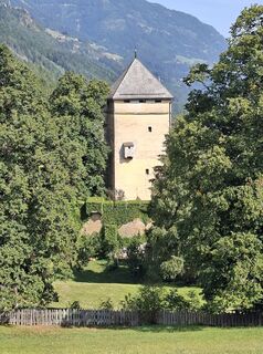 Foto von Mangolein entlang der Tour