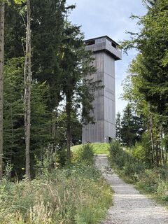 Foto de Klaus Mennel a lo largo del recorrido