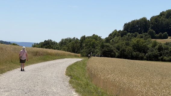 Photo de hob2020 le long du parcours