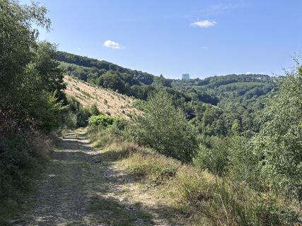Fotografie z Momo na trase