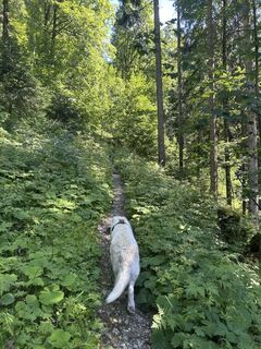Fotografija s spletne strani Bene Schadel na poti