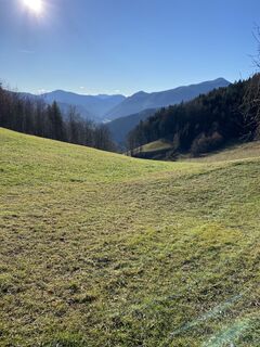 Foto von Ster entlang der Tour