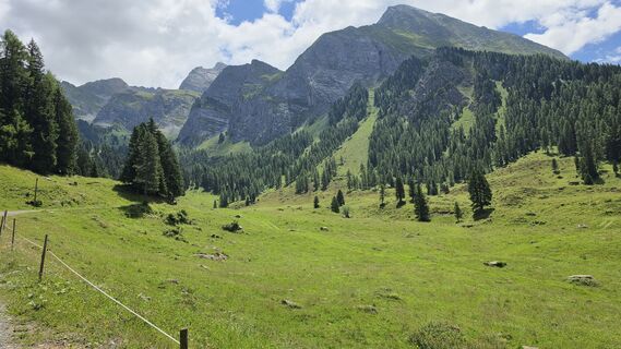 Fotografija s spletne strani Gerrit van der Linde na poti
