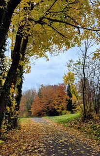 Foto van Thomas Schekira langs de tour