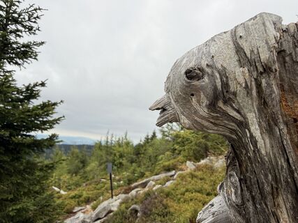 Fotografie z Natur_erleben_dg na trase