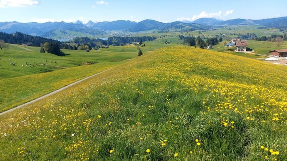 Fotografie de la a.kaufmann de-a lungul turului