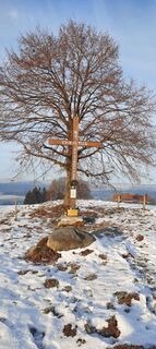 Photo de Konrad Kreische 1 le long du parcours