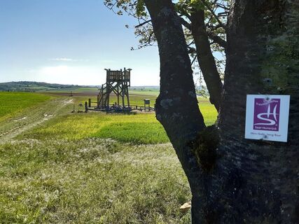Aussichtsturm Hirnberg