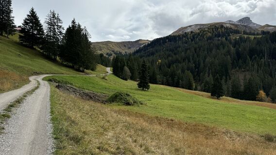 Foto von peter_oe entlang der Tour