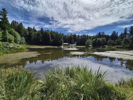 Fotografia z Markus Streb na trase