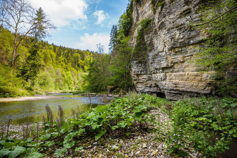 Wutachschlucht mit Felsformationen