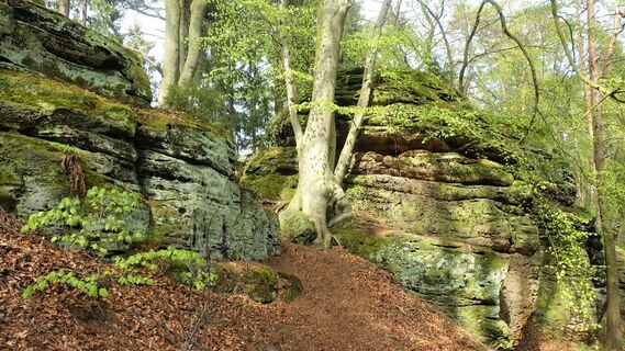 Weg zum Gersfelsen