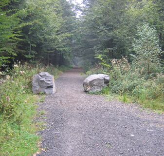 Waldweg durch die Nutscheid