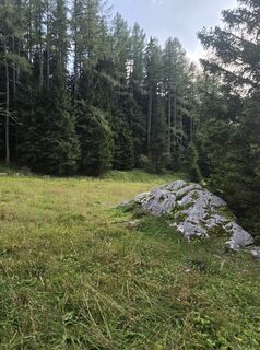 Foto von Bernhard Hohenbichler entlang der Tour