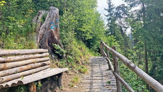 Holztreppe Rundwanderung Crappa Grossa