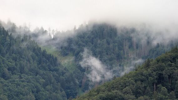 Fotografija s spletne strani Klaus Lehner na poti