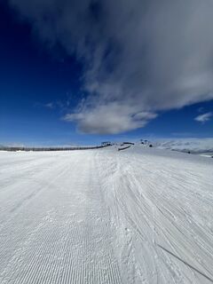 Zdjęcie z Flo wzdłuż trasy