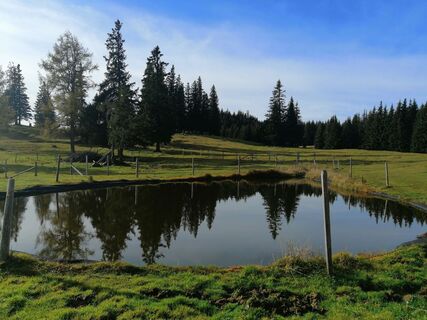 Fotografija s spletne strani Christina Turnwald na poti