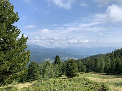 Foto van Koen De Wit langs de tour