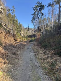 Foto von Sylvia Sellung entlang der Tour